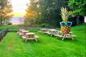 picnic tables and view of lake Erie